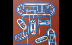 Galerie25 Galerie25